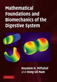 bokomslag Mathematical Foundations and Biomechanics of the Digestive System