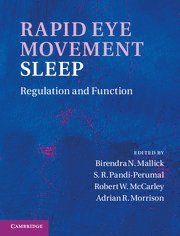 bokomslag Rapid Eye Movement Sleep