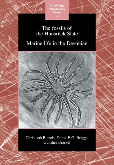 Christoph Bartels, Derek E. G. Briggs, G - The Fossils of the Hunsrück Slate, Häftad