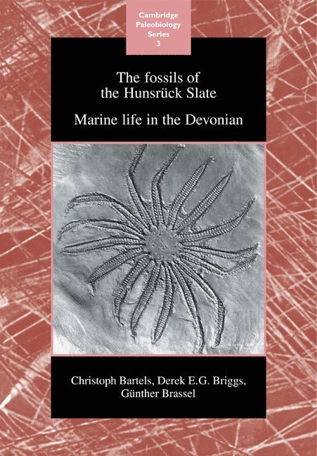 The Fossils of the Hunsruck Slate