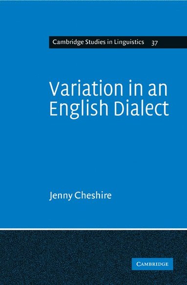 bokomslag Variation in an English Dialect