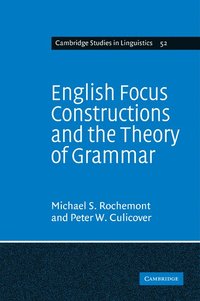bokomslag English Focus Constructions and the Theory of Grammar
