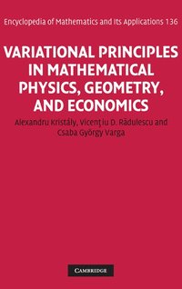 bokomslag Variational Principles in Mathematical Physics, Geometry, and Economics