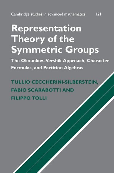 Tullio Ceccherini-Silberstein, Fabio Scarabotti, Filippo Tolli - Representation Theory of the Symmetric Groups, Inbunden