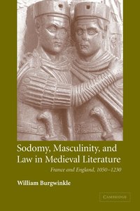 bokomslag Sodomy, Masculinity and Law in Medieval Literature