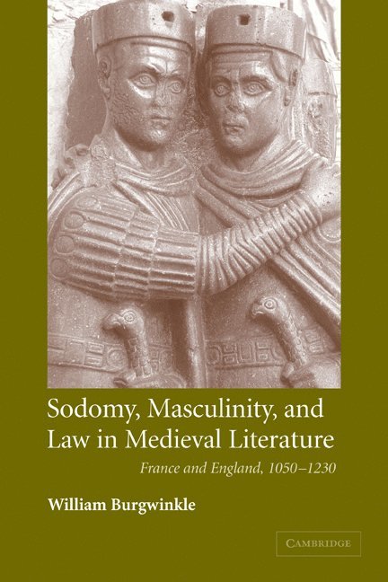 Sodomy, Masculinity and Law in Medieval Literature 1