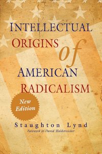 bokomslag Intellectual Origins of American Radicalism