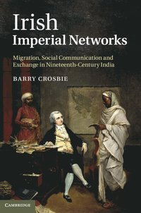 bokomslag Irish Imperial Networks