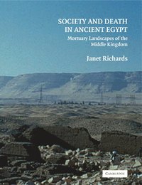 bokomslag Society and Death in Ancient Egypt