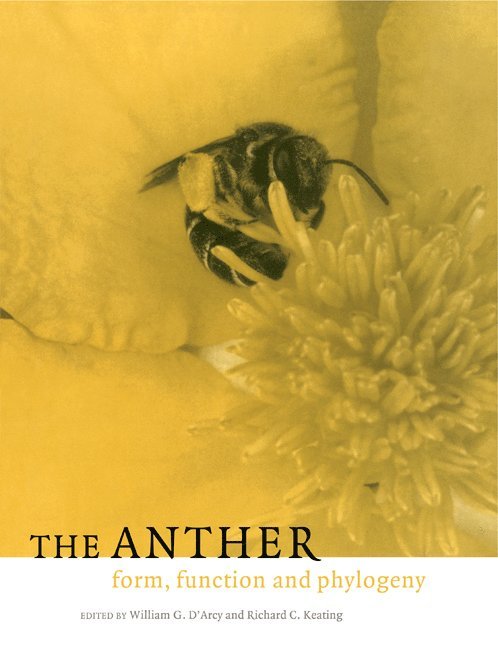 The Anther 1