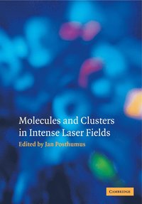 bokomslag Molecules and Clusters in Intense Laser Fields