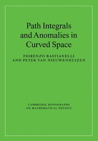 bokomslag Path Integrals and Anomalies in Curved Space