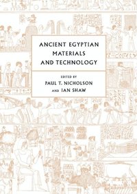 bokomslag Ancient Egyptian Materials and Technology