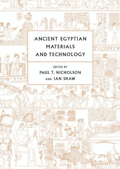 bokomslag Ancient Egyptian Materials and Technology