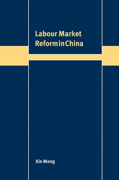 bokomslag Labour Market Reform in China