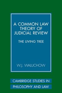 bokomslag A Common Law Theory of Judicial Review