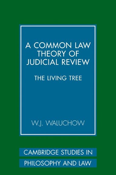 bokomslag A Common Law Theory of Judicial Review