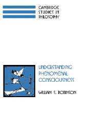 Understanding Phenomenal Consciousness