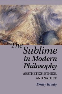 bokomslag The Sublime in Modern Philosophy
