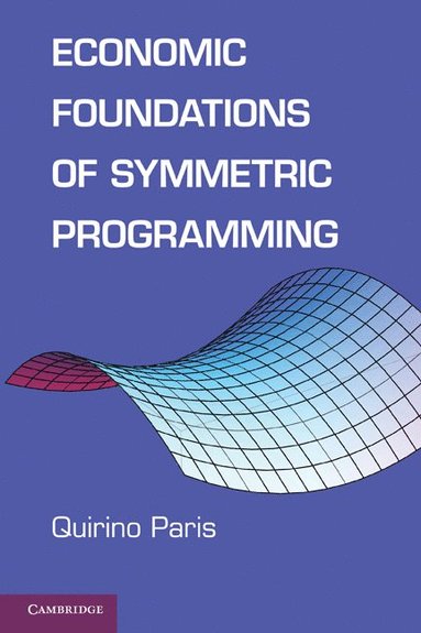 bokomslag Economic Foundations of Symmetric Programming