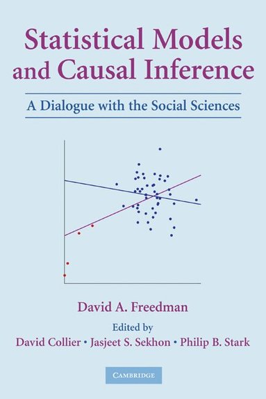 David A. Freedman, David Collier, Jasjeet S. Sekhon, Philip B. Stark - Statistical Models and Causal Inference, Häftad