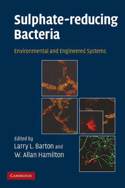 Sulphate-Reducing Bacteria 1