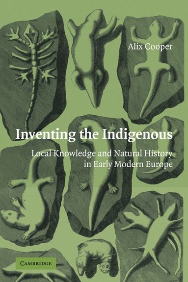 bokomslag Inventing the Indigenous