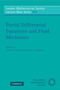 bokomslag Partial Differential Equations and Fluid Mechanics