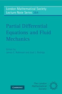 bokomslag Partial Differential Equations and Fluid Mechanics