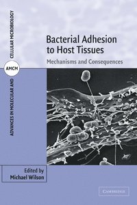 bokomslag Bacterial Adhesion to Host Tissues