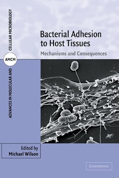 Michael Wilson - Bacterial Adhesion to Host Tissues, Häftad