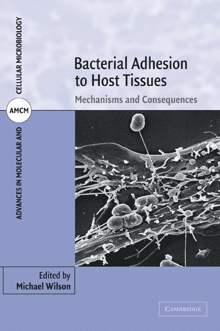 Bacterial Adhesion to Host Tissues 1