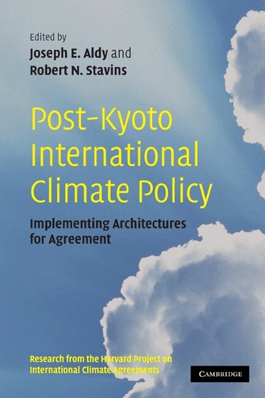 Joseph E. Aldy, Robert N. Stavins - Post-Kyoto International Climate Policy, Häftad