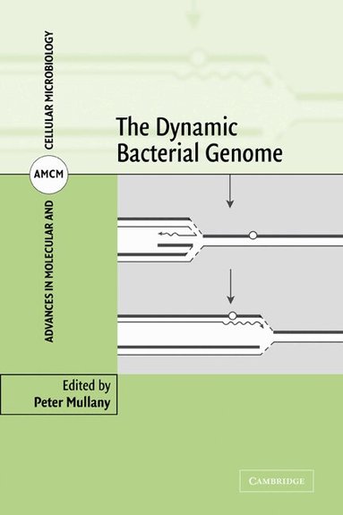 Peter Mullany - The Dynamic Bacterial Genome, Häftad