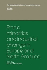 bokomslag Ethnic Minorities and Industrial Change in Europe and North America