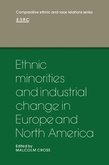 Malcolm Cross - Ethnic Minorities and Industrial Change in Europe and North America, Häftad