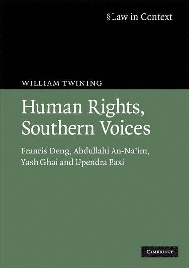 bokomslag Human Rights, Southern Voices