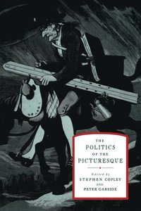 bokomslag The Politics of the Picturesque
