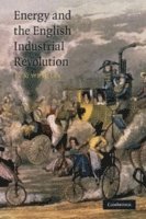 Energy and the English Industrial Revolution 1