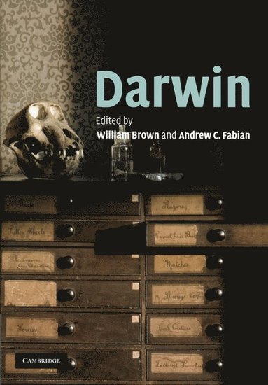 bokomslag Darwin