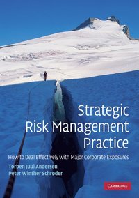 bokomslag Strategic Risk Management Practice