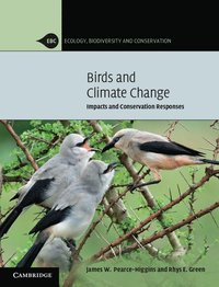 bokomslag Birds and Climate Change