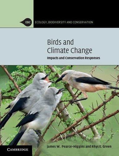 James W. Pearce-Higgins, Rhys E. Green - Birds and Climate Change, Häftad