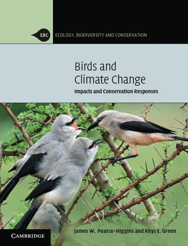 bokomslag Birds and Climate Change