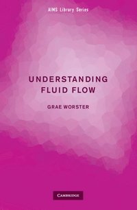 bokomslag Understanding Fluid Flow