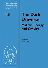 bokomslag The Dark Universe