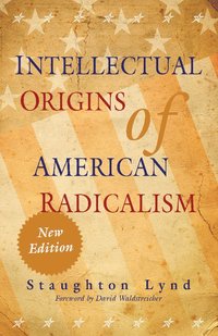 bokomslag Intellectual Origins of American Radicalism