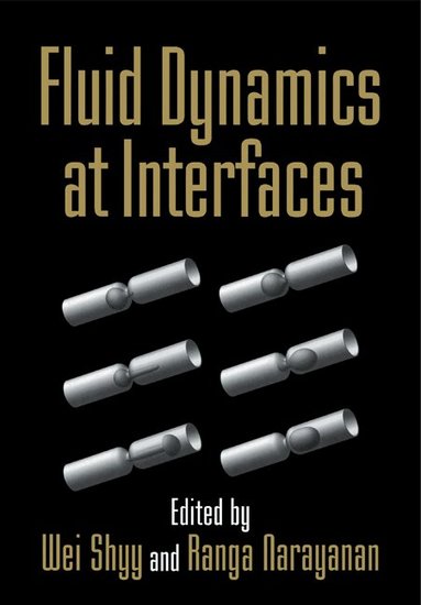 Wei Shyy, Ranga Narayanan - Fluid Dynamics at Interfaces, Häftad