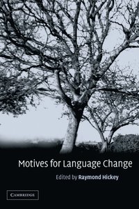 bokomslag Motives for Language Change