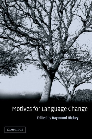 Raymond Hickey - Motives for Language Change, Häftad